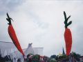 27798-26320-18055_WFC_0151